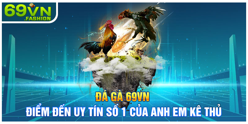 Đá Gà 69VN – Điểm Đến Uy Tín Số 1 Của Anh Em Kê Thủ