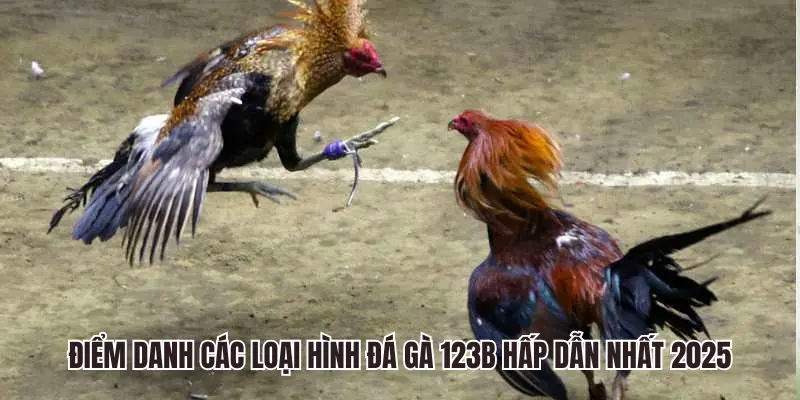 Điểm danh các loại hình đá gà 123B hấp dẫn nhất 2025